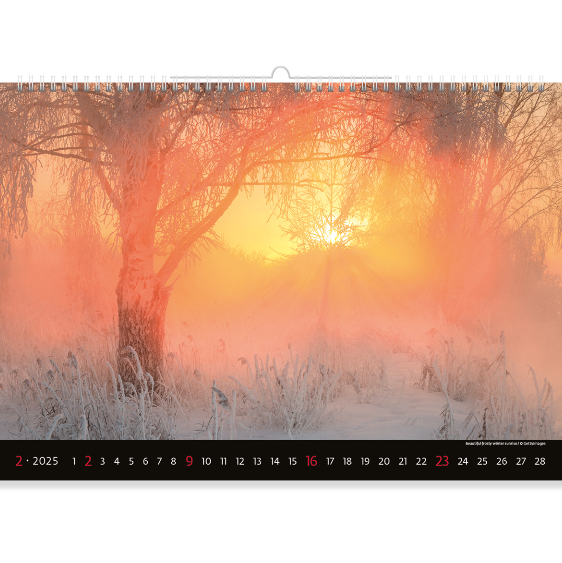 A misty winter forest that is illuminated by the first rays of dawn. The silhouettes of trees cast fanciful shadows on the fluffy snow, preparing to greet the new day. Discover the magic of winter mornings together with Mountain View Calendar 2025.