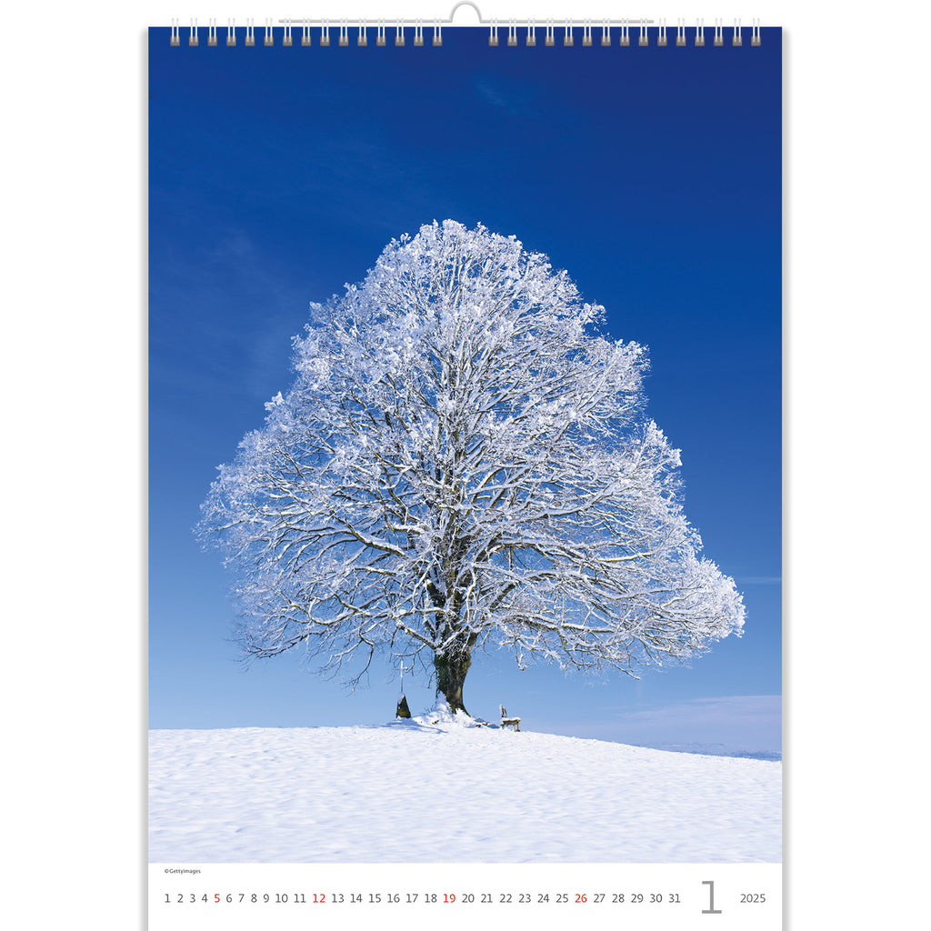 Mit dem Baumkalender 2025 können Sie die Ruhe des Winters genießen und die friedliche Schönheit der Bäume in den kühlen Monaten bewundern. Winzige Schneeflocken schmücken die kahlen Äste der Bäume und vermitteln den Eindruck eines winterlichen Paradieses.