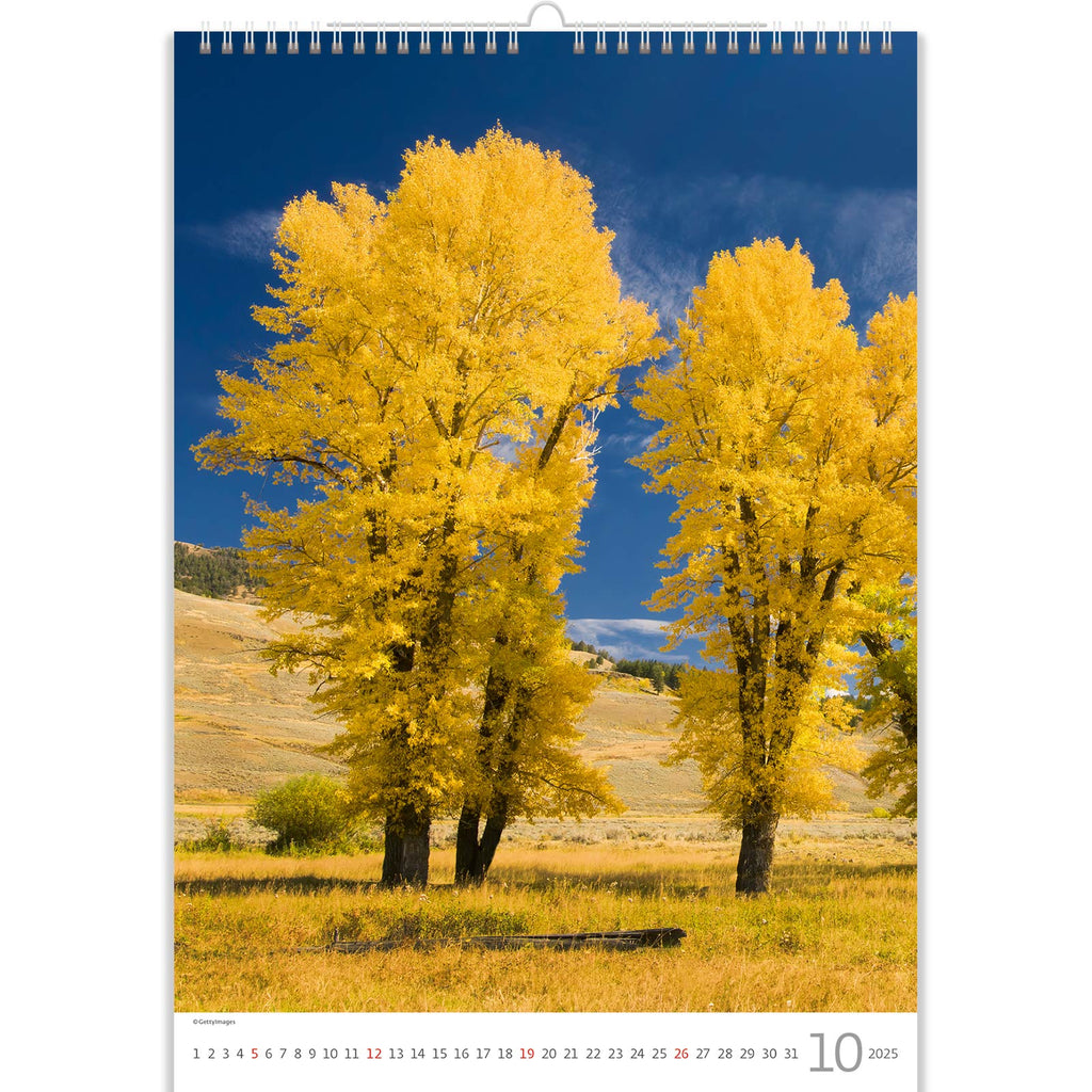 Maak kennis met het prachtige natuurbeeld van de bomenkalender 2025, waar je elke maand een kijkje kunt nemen in de magische wereld van bomen en de prachtige omgevingen die ze thuis noemen.