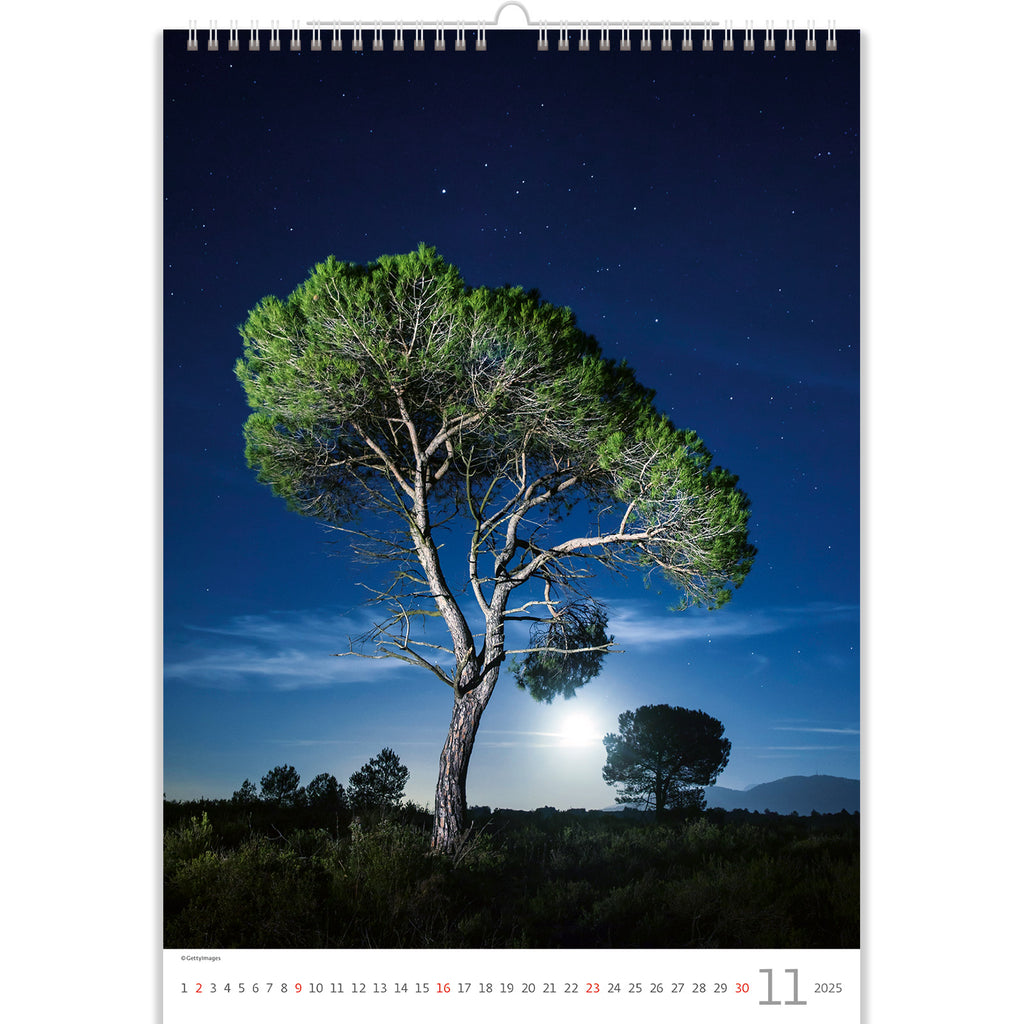 The Tree Calendar 2025 is a compelling collection of photographs that honor the wonder of nature and the majesty of trees. It will transport you to the very heart of its beauty. 