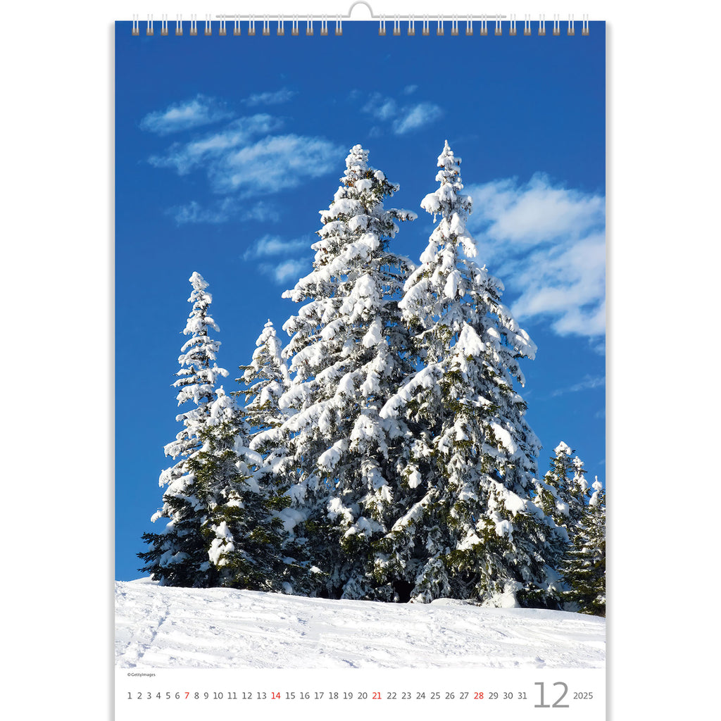 Machen Sie eine magische Reise mit dem Baumkalender 2025, der faszinierende Bilder von Bäumen zeigt, die mit Neuschnee bedeckt sind. offenbart jeden Monat ein Winterwunderland, wenn die weichen Schneeflocken die Erde in einen fantastischen Ort verwandeln.