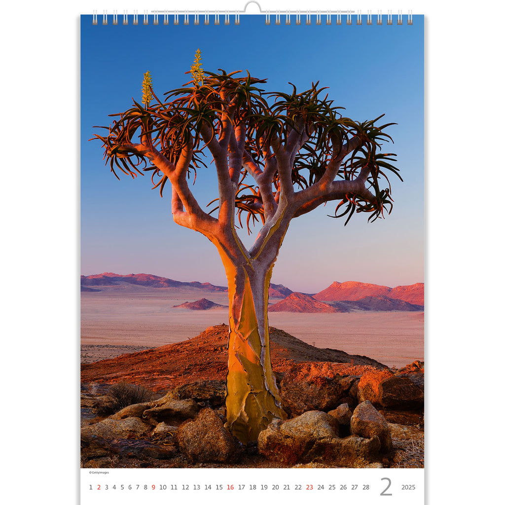 With its spectacular tree silhouette against a stunning sun background, the Tree Calendar 2025 invites you to appreciate the breathtaking beauty of nature. Observe the harmony of light and shadow as the sun's rays produce an enthralling display of colors and patterns on the horizon.