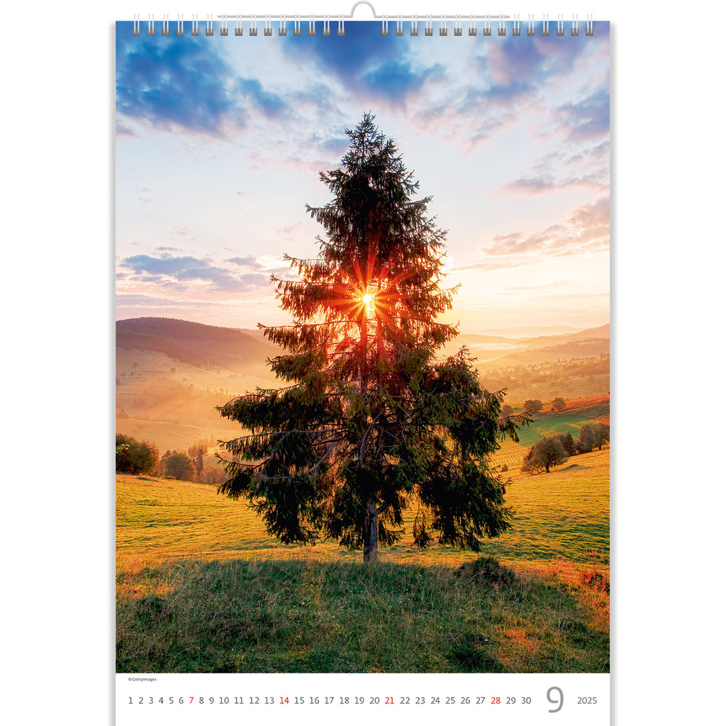 Mit Hilfe des Baumkalenders 2025, der eine Vielzahl gemütlicher Baumbilder bietet, die Schatten für ruhige Freizeit spenden, betreten Sie eine einladende Oase der Ruhe.