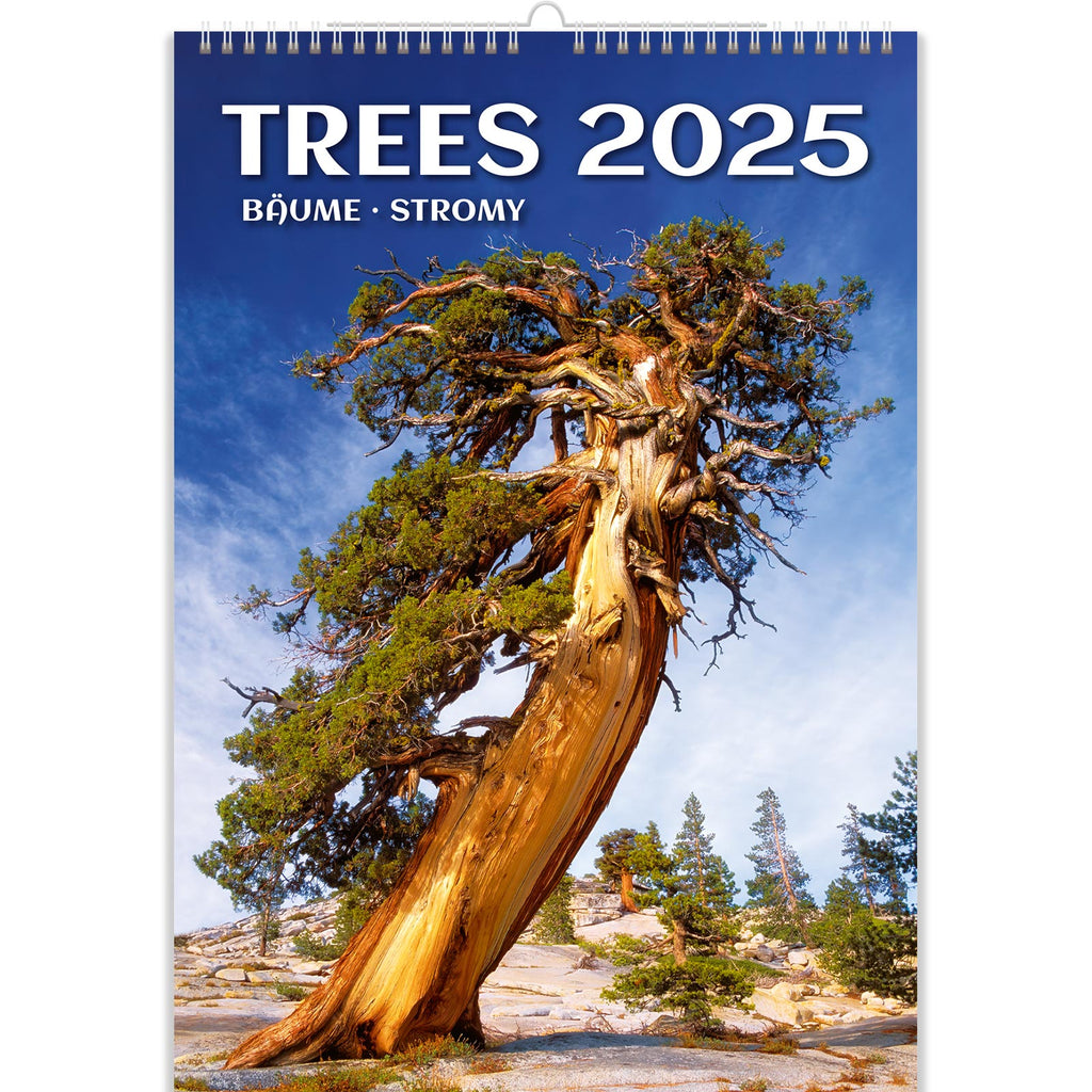 Explore the everlasting splendor of nature with "Eternal Trees: A Yearlong Celebration." This beautiful calendar offers a window into the deep relationship that exists between trees and our environment by capturing the everlasting grandeur of trees throughout the changing seasons.