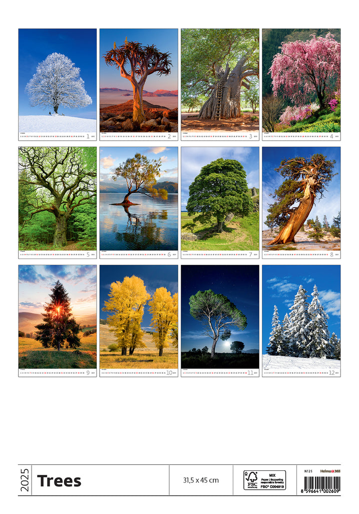 Willkommen beim Baumkalender 2025, einer fesselnden Reise durch die bezaubernde Welt der Bäume. Jeder Monat enthüllt ein atemberaubendes Porträt der Schönheit der Natur, von den widerstandsfähigen Eichen über die anmutigen Weiden bis hin zu den leuchtenden Ahornbäumen.