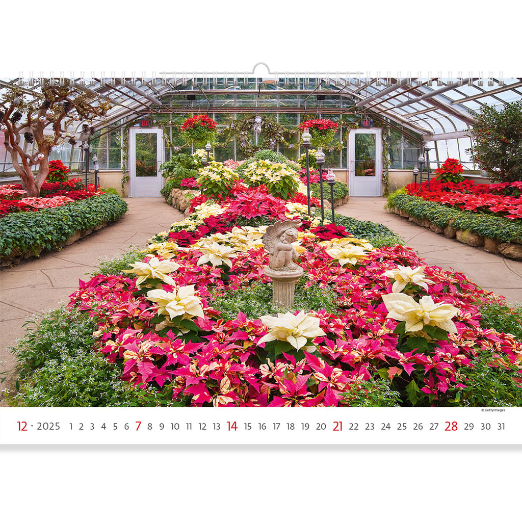 Brightly blooming flowers will be a real inspiration on the pages of the Garden Calendar 2025 this winter month. A beautiful variety of flora under the elegant greenhouse roof. A small statue of an angel seems to guard this fragile beauty. 