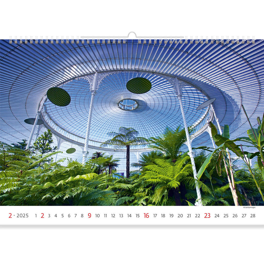 Een echte futuristische furore! De perfecte belichaming van de uitdrukking "stenen jungle". De harmonie van de natuur onder het deksel van een glazen koepel. Waardeer deze schoonheid in onze Garden Calendar 2025.