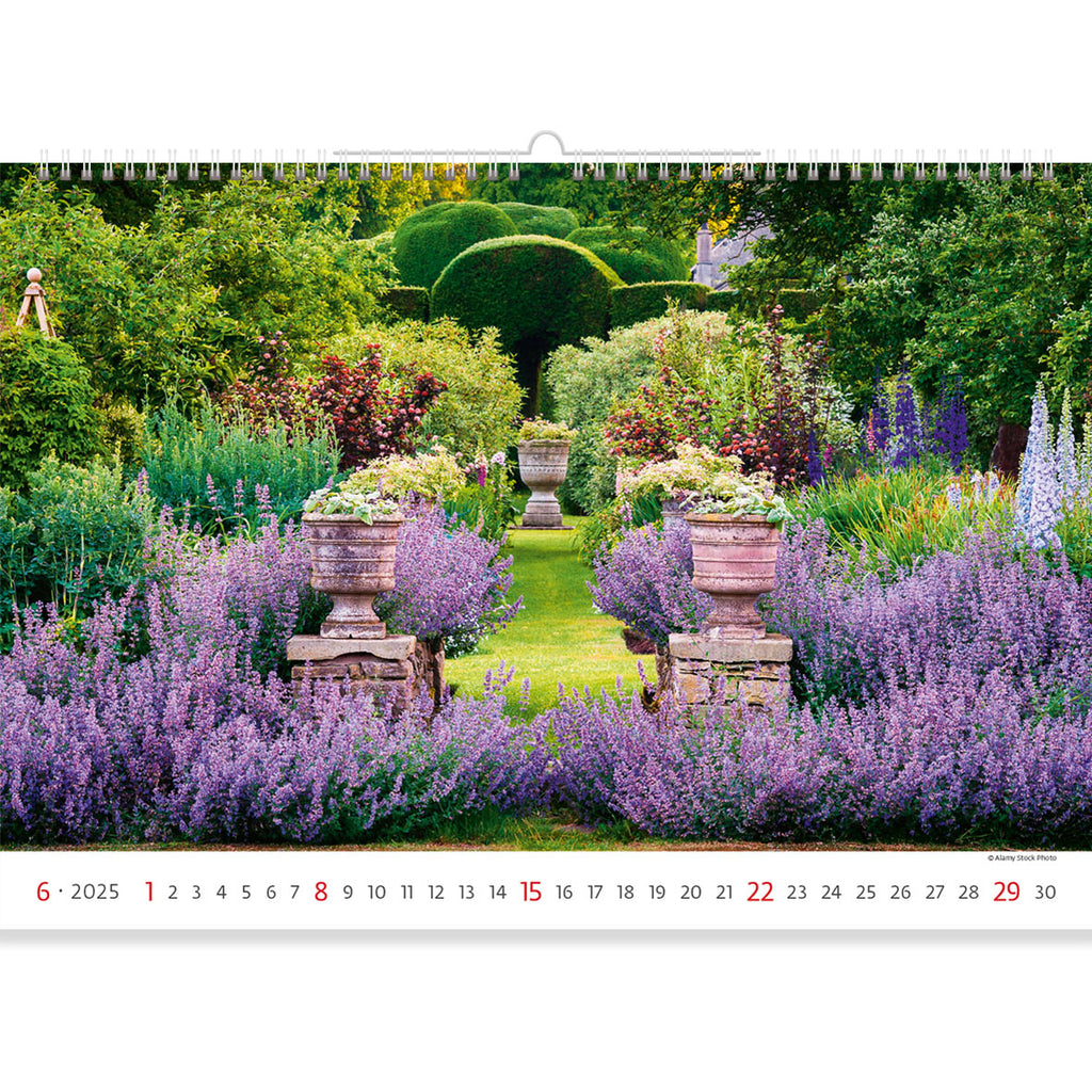 Ein Aufstand von duftendem Lavendel gegen den grünen Bogen des Labyrinths. Dieser Garten ist wie eine Einladung zu einem Märchen für alle. Machen Sie eine Reise zusammen mit Garten Kalender 2025.