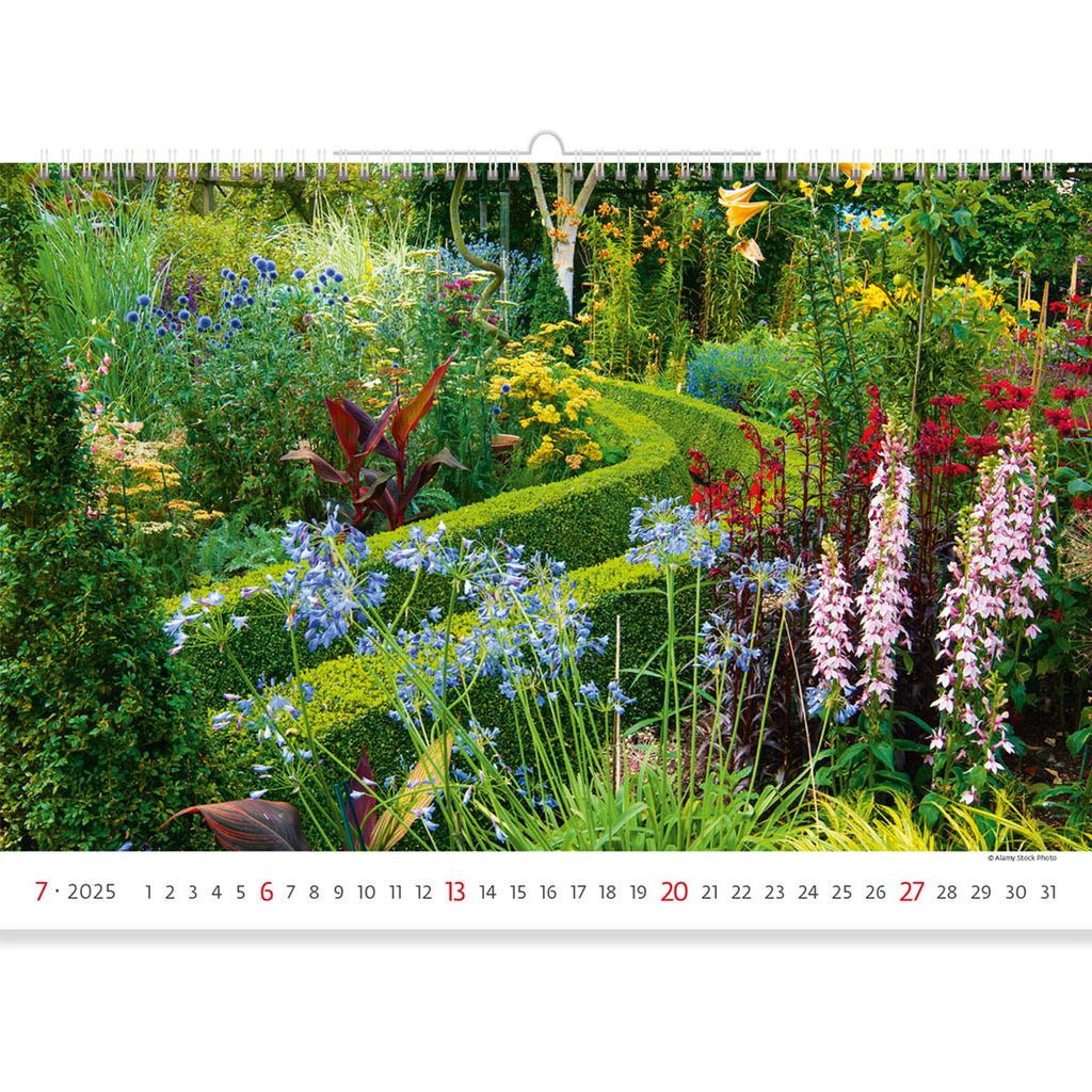 Eine wunderbare Vielfalt von Farben vor einer Kulisse von hellem Sommergrün in einem bescheidenen Garten. Die Gemütlichkeit und Magie dieses Ortes ist erstaunlich. Genießen Sie einen Moment der Ruhe auf unserer Garten Kalender 2025.