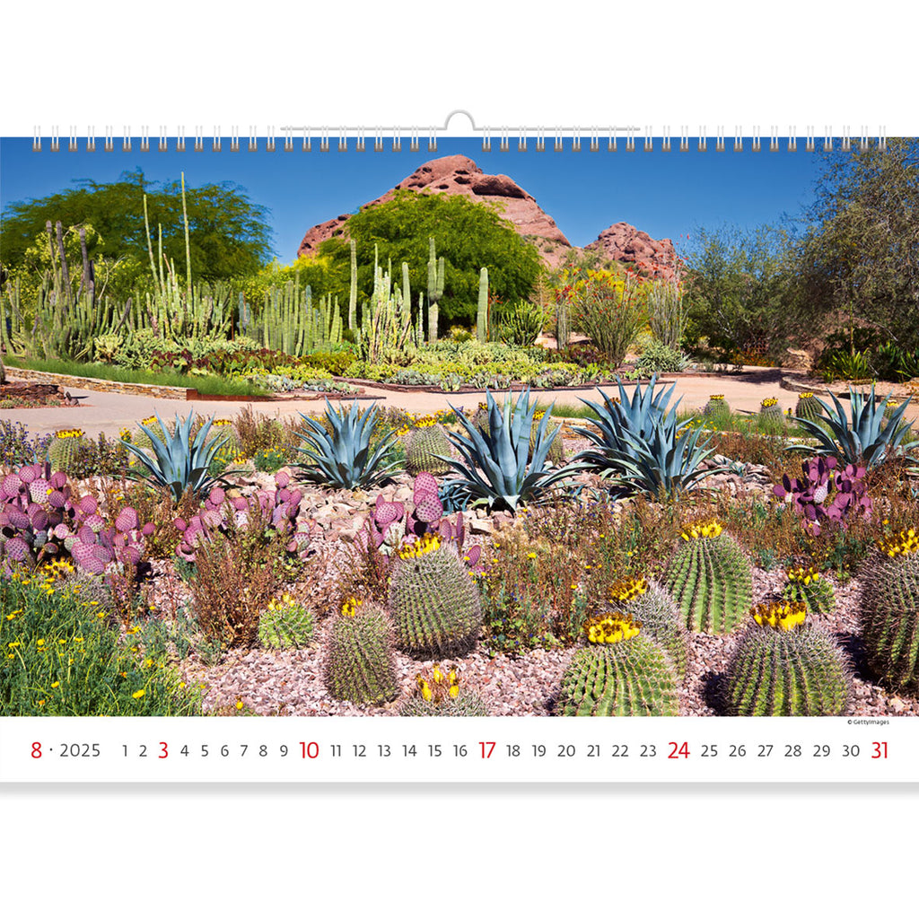 Die Vielfalt der Wüstenflora ist wirklich erstaunlich. Wunderschöne blühende Kakteen gegen die bunte Landschaft der heißen Wüste. Teile diesen heißen Tag zusammen mit Garten Kalender 2025.