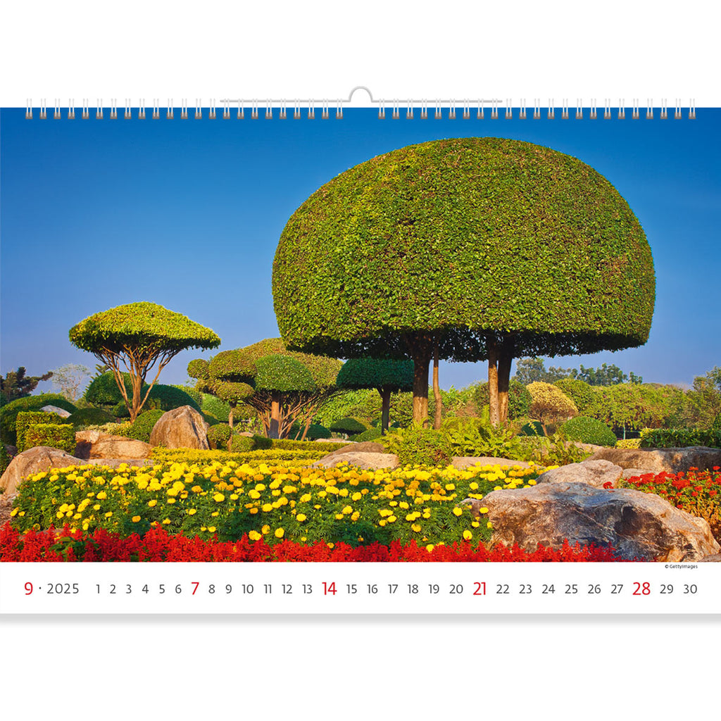 Die neue Garten Kalender 2025 Seite ist fantastisch! Der Garten sieht aus wie von einem anderen Planeten. Wunderliche runde Kronen von Bäumen und ein Aufruhr von Farben von verschiedenen Blumen in ihrem Schatten. Dieser Garten ist wirklich atemberaubend. 