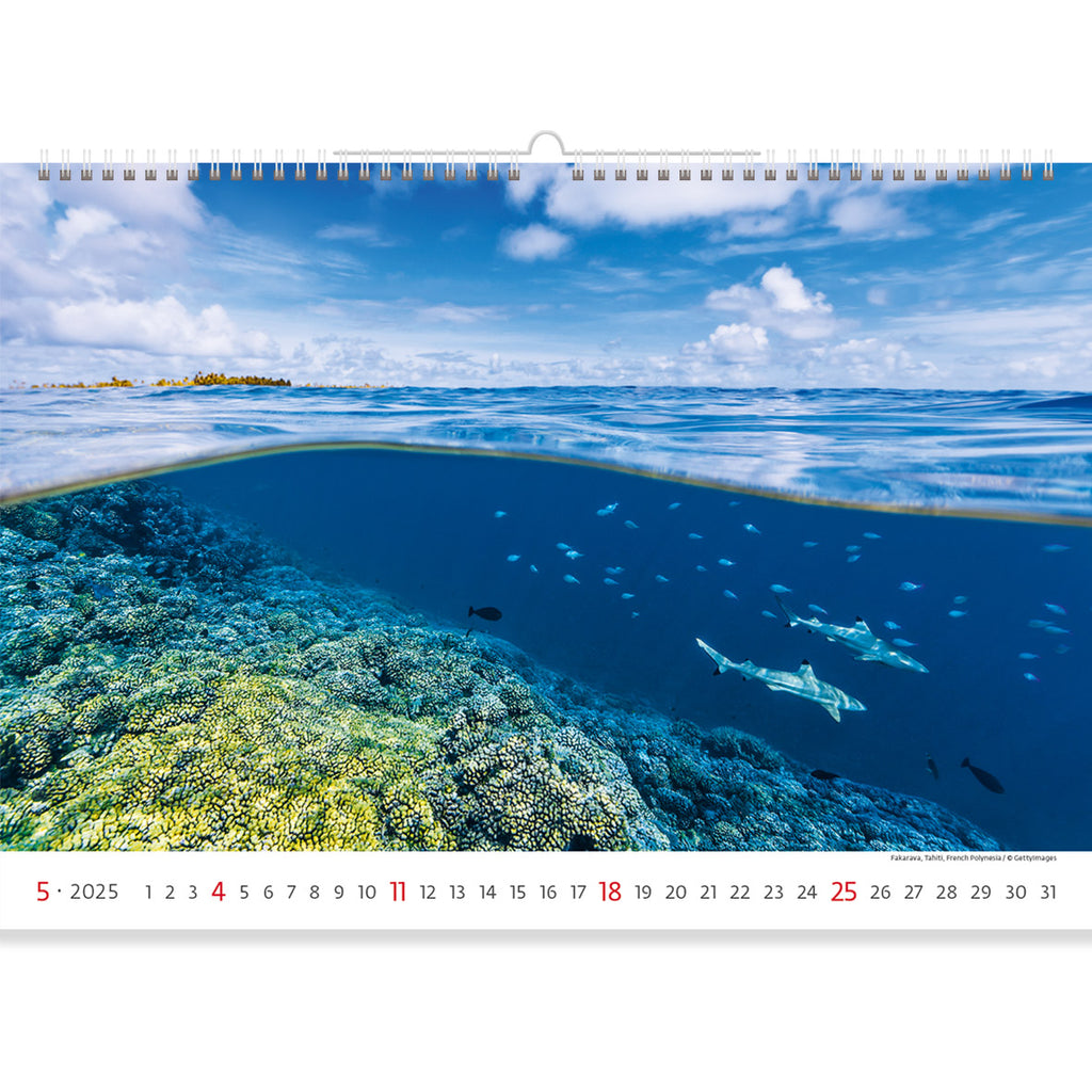 Two worlds touch in this shot. The glistening water surface, distant rocks and the amazing underwater world with its small inhabitants. Be inspired by the beauty of our nature on the pages of Sea Calendar 2025.