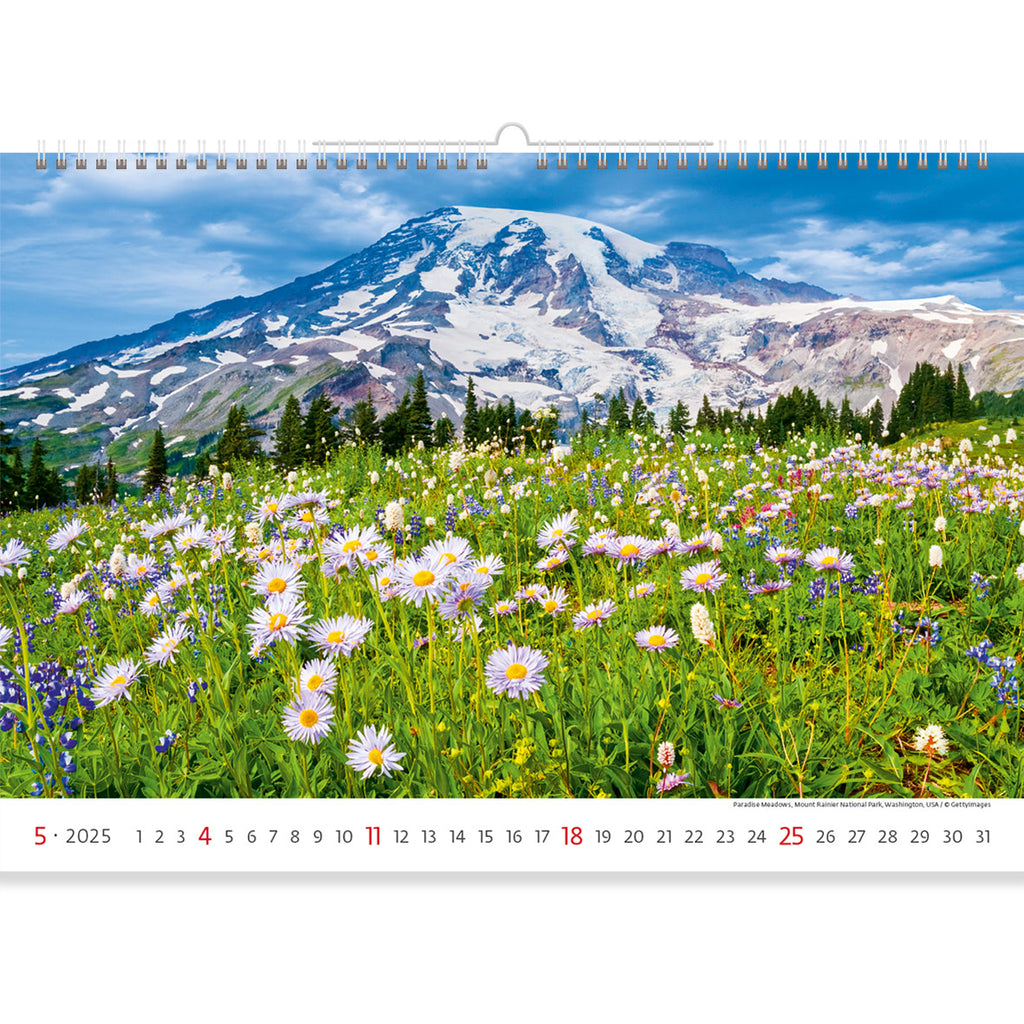 Die Aufnahme von Paradise Meadows im Mount-Rainier-Nationalpark, Washington, USA, in den Nationalpark-Kalender für 2025 würde eine der malerischsten und symbolträchtigsten Gegenden des Parks hervorheben.