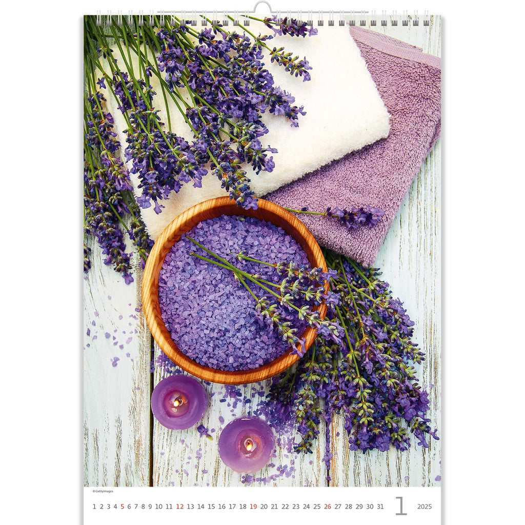 Getrockneter Lavendel wird Sie das ganze Jahr über erfreuen und Sie im Winter schützen.