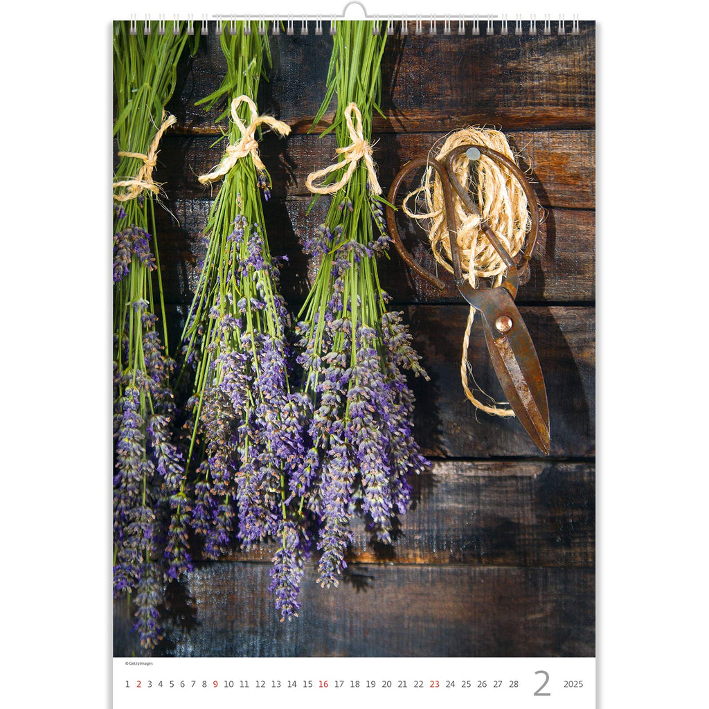 Dried lavender is something that will delight you all year round and help protect you this winter.