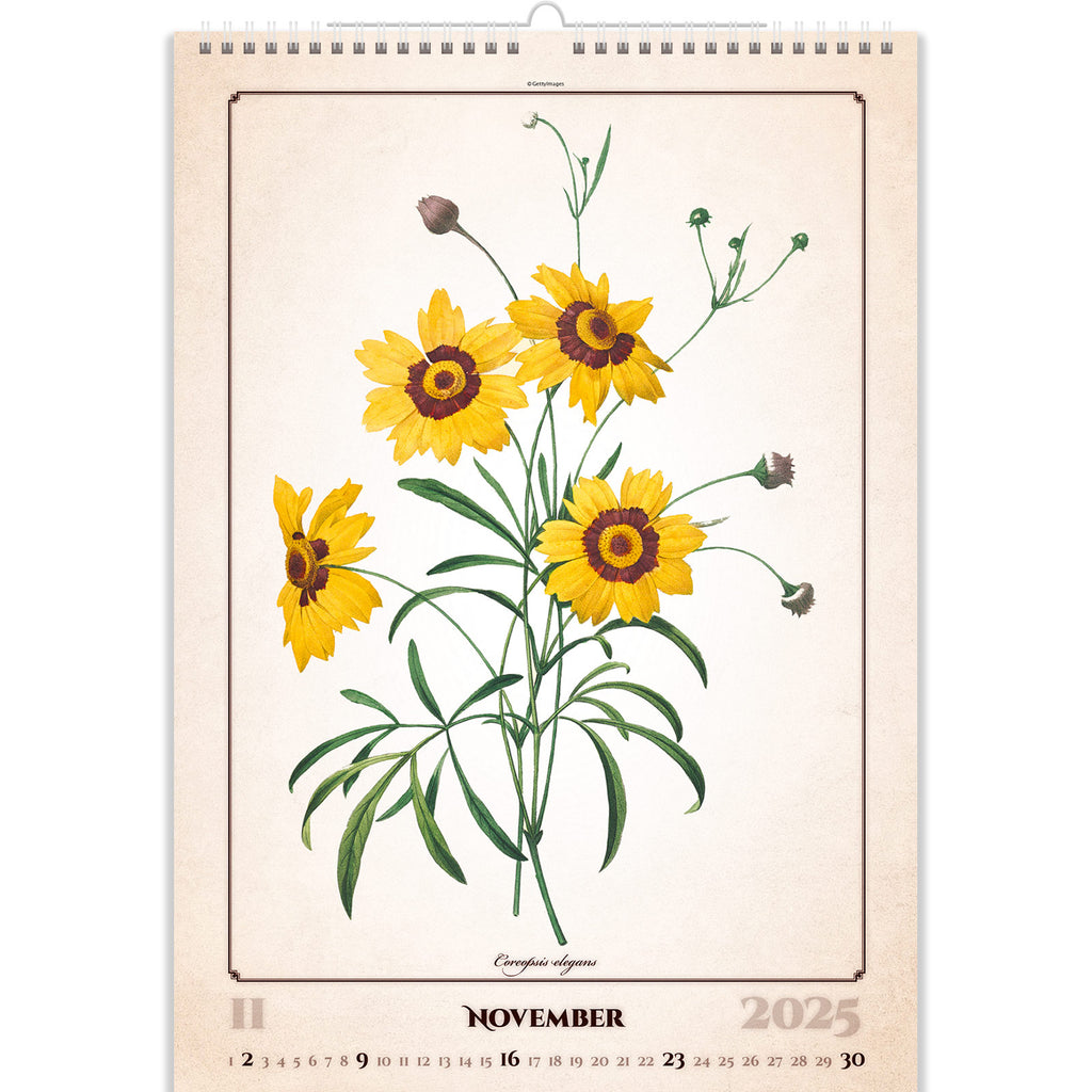 Herbarium-Calendar-2025