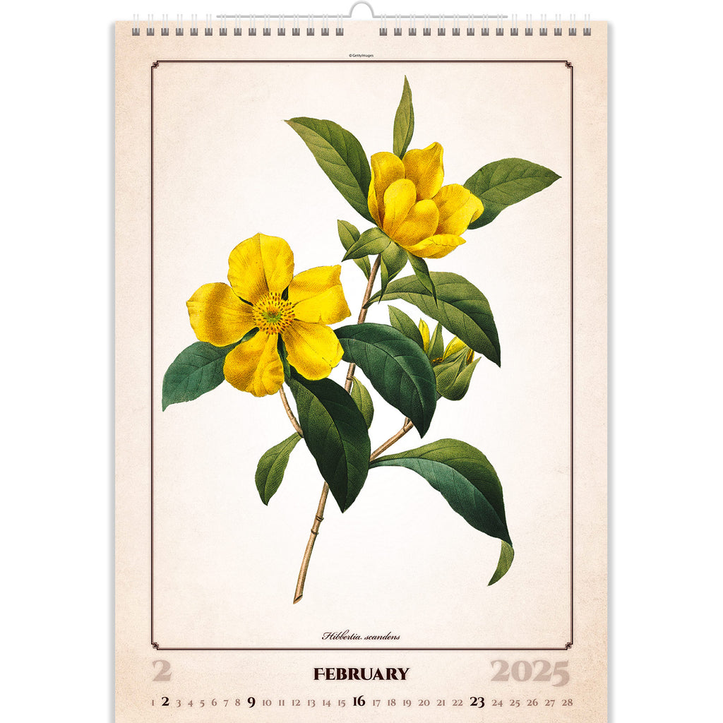 Herbarium-Kalender-2025