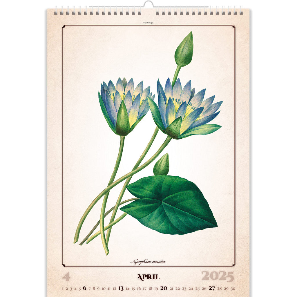 Herbarium-Kalender-2025