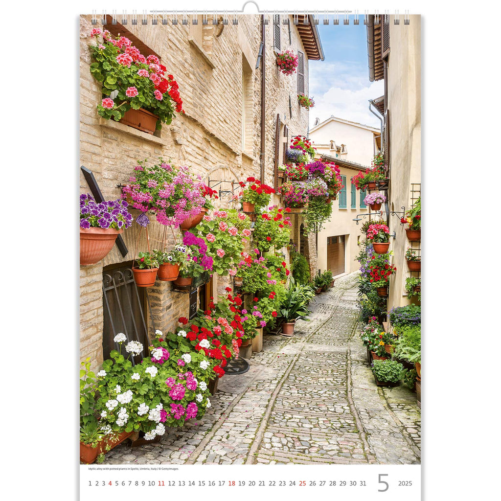 May in the Romantic Calendar 2025 frames a cobblestone embrace lined with a cascade of geraniums. This enchanting scene embodies the essence of romance with its charming cobblestone path, vibrant flowers, and the timeless beauty of a picturesque setting, inviting a stroll through a garden of love and tranquility.