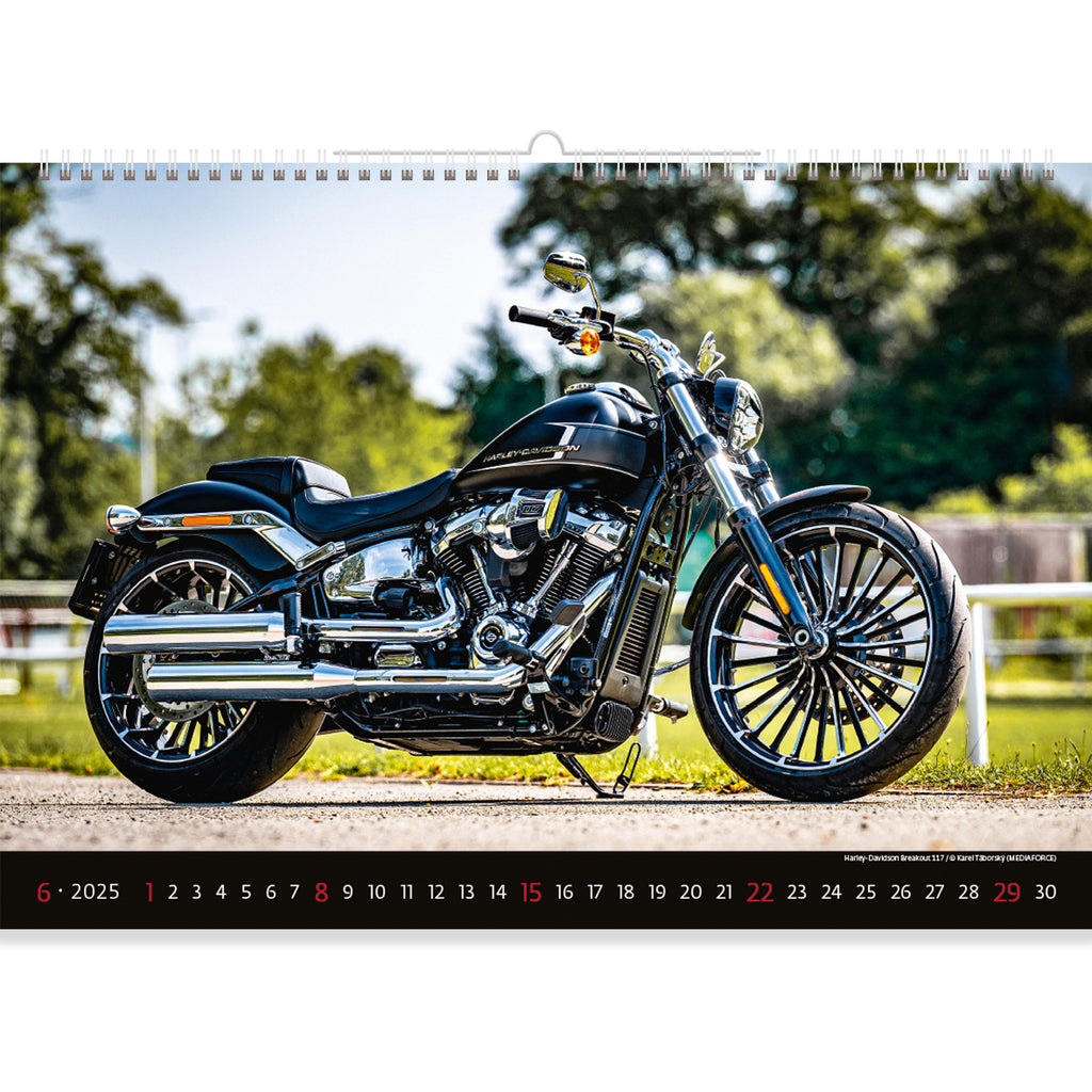 The Motorbike Calendar 2025 features a classic cruiser motorbike basking in sunlight, exuding power and freedom. This iconic scene captures the timeless appeal of a cruiser, symbolizing the thrill of the open road, independence, and the joy of riding under the warm embrace of the sun.