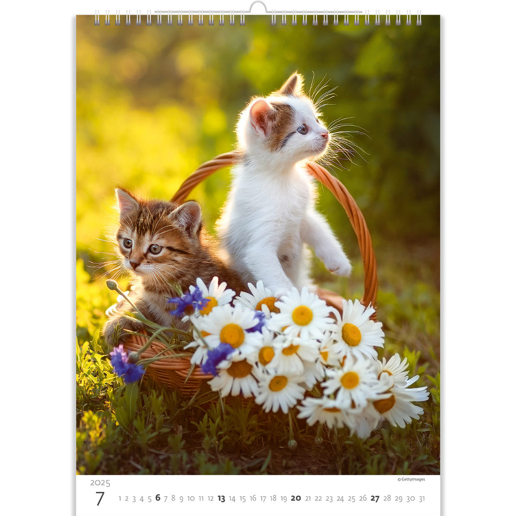 Een mand met wilde bloemen en twee schattige kittens. Ze verkennen de wereld in afwachting van hun beurt om te spelen. Waardeer hun nieuwsgierigheid met onze kattenkalender 2025!