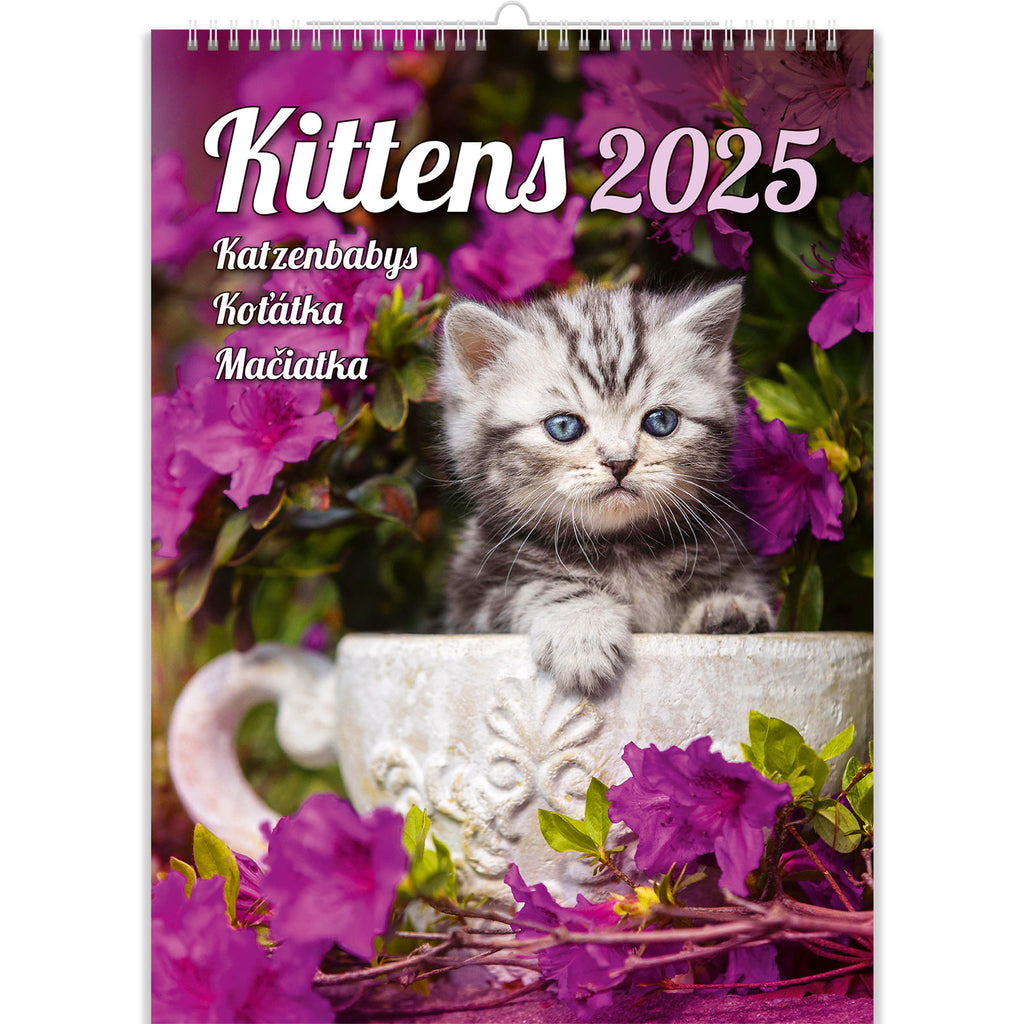 Omring jezelf met een goed humeur met onze "Jolly Kitties: vreugde het hele jaar door" kalender. De kalender verrukt met foto's van schattige donzige katten en geeft onvergetelijke emoties!