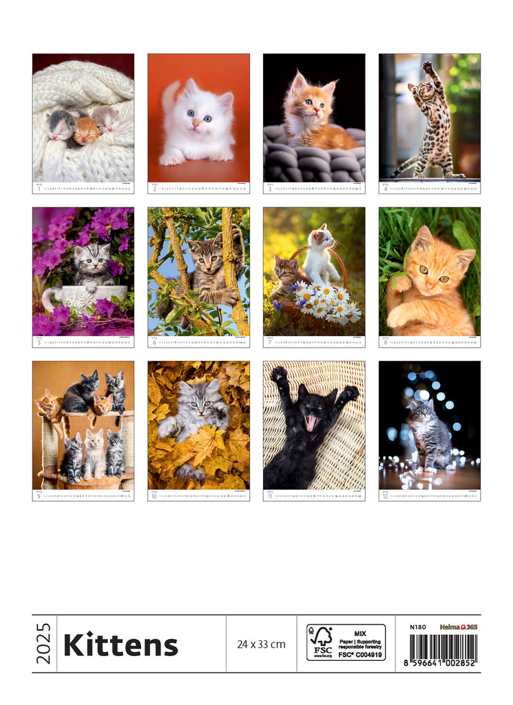 Appreciate the cuteness and mischievousness of kittens with our cat calendar 2025! Each image brings joy and pleasure. Don't deny yourself a good mood!