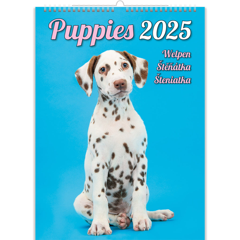 Omring jezelf met een goed humeur met onze kalender "Mischievous puppy's: onze beste vrienden". De kalender brengt vreugde met foto's van schattige en grappige puppy's en geeft onvergetelijke emoties!