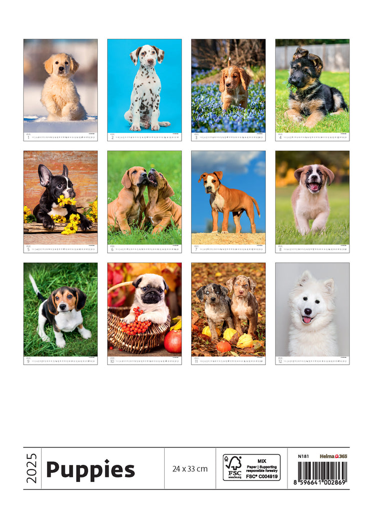 Have fun and get in a good mood with our puppy calendar 2025! Each image is filled with cuteness and cheerfulness. Enjoy!