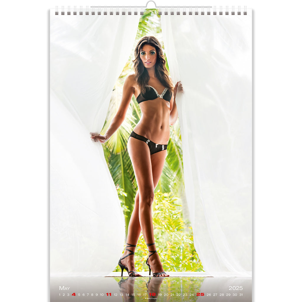 Der Sexy-Babe-Kalender 2025 zeigt eine selbstbewusste Brünette, die Charme und Anmut ausstrahlt.
