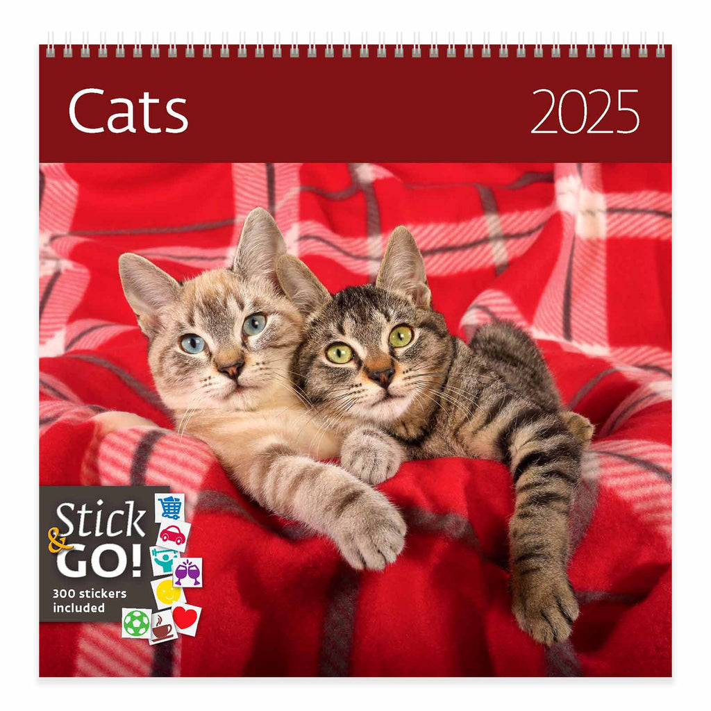 Dompel jezelf het hele jaar door onder met 'Playful kitties: beste vrienden het hele jaar door!' kalender. Geniet van schattige donzige katten voor onvergetelijke emoties!