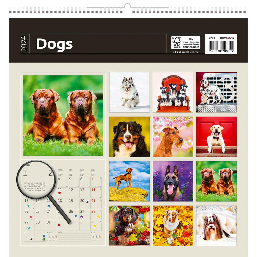 Writing Calendar Dogs Overview