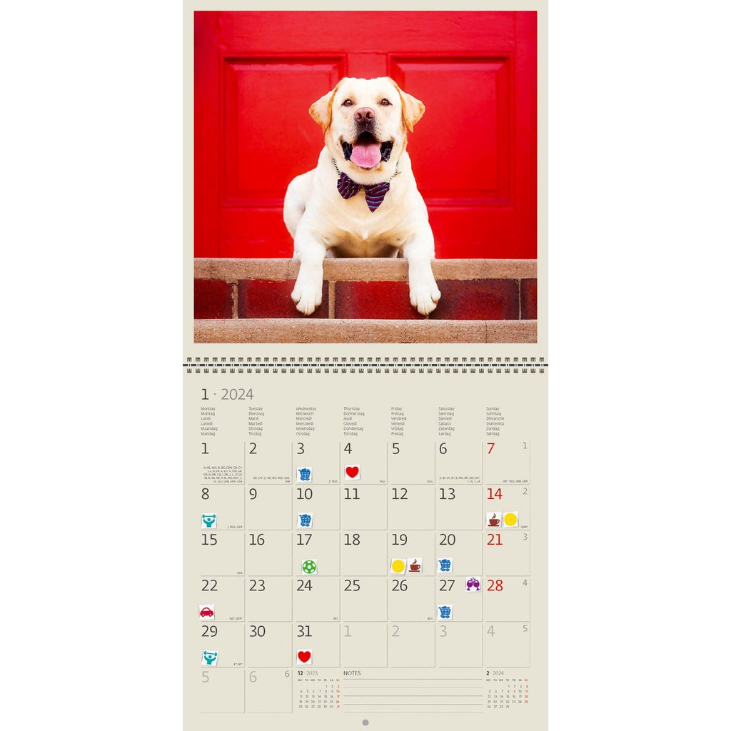 Writing Calendar  Sweet White Dog