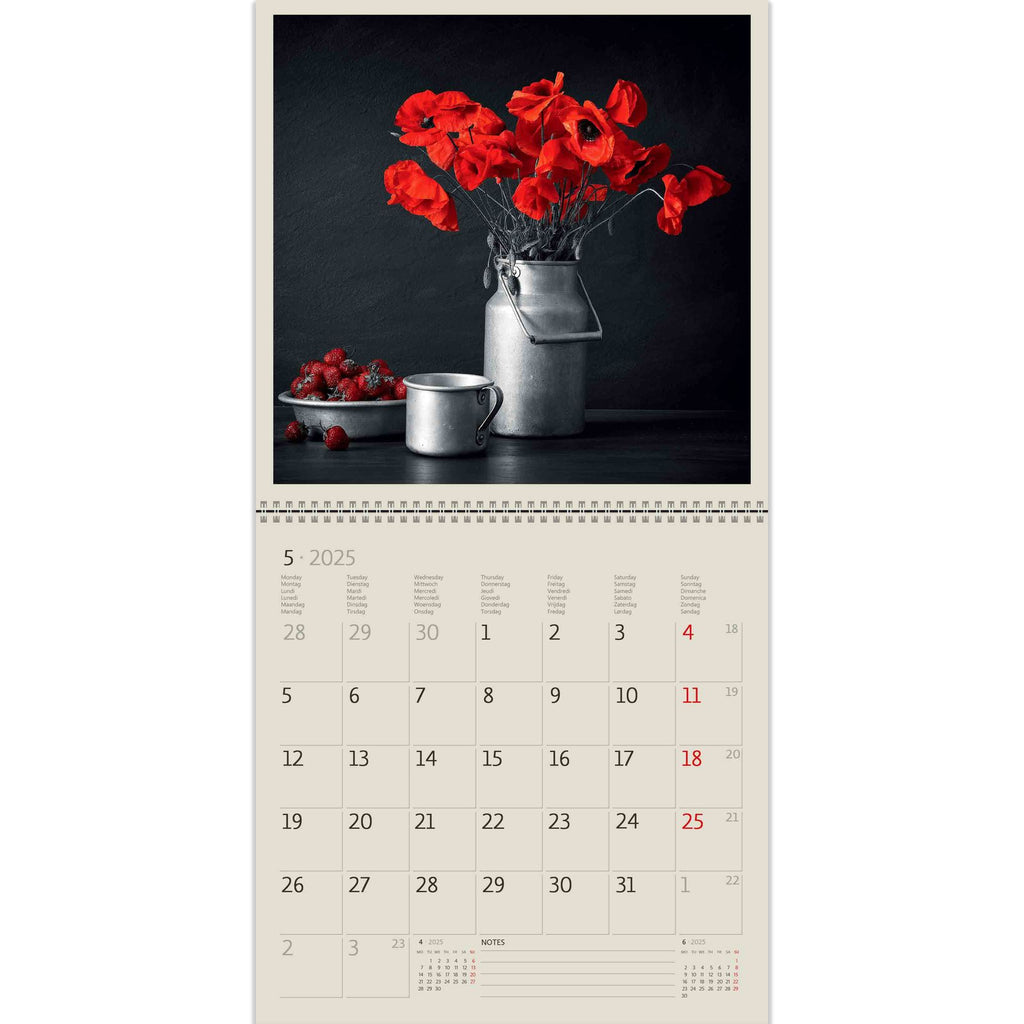 Beautiful red poppies on a spectacular black background. This photo encourages special nostalgic feelings in our Black Red Calendar 2025!