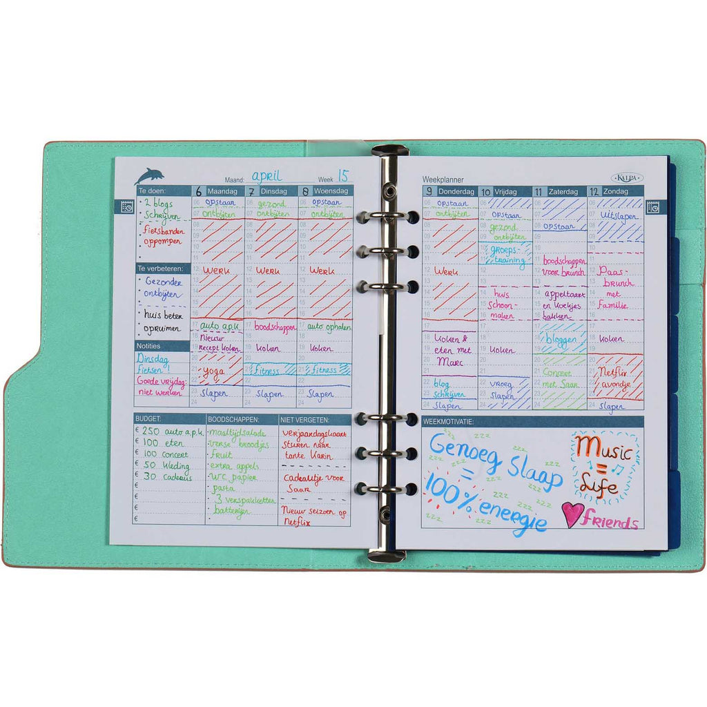 High Quality Clipbook A5 6 Ring Binder Agenda Pastel Pink Green