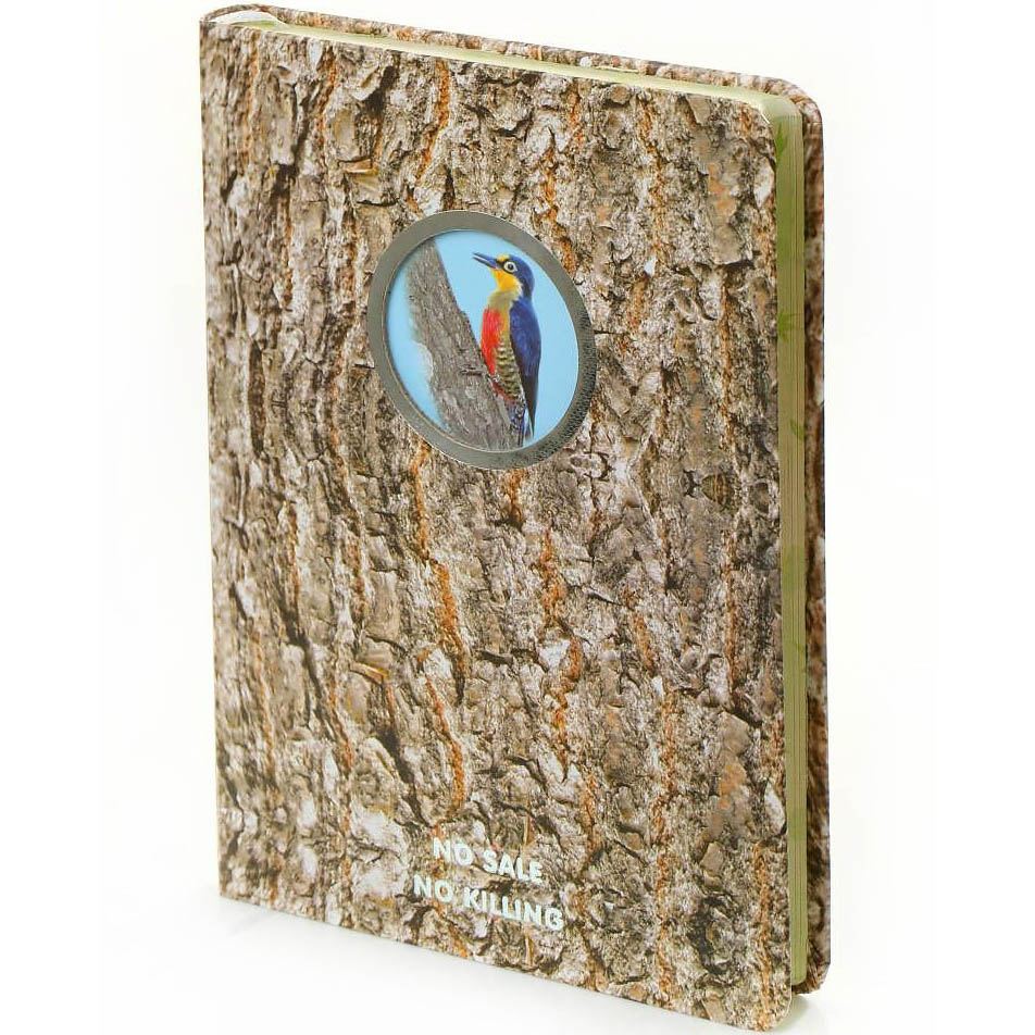 Buy Dreamnotes Nature Notebook