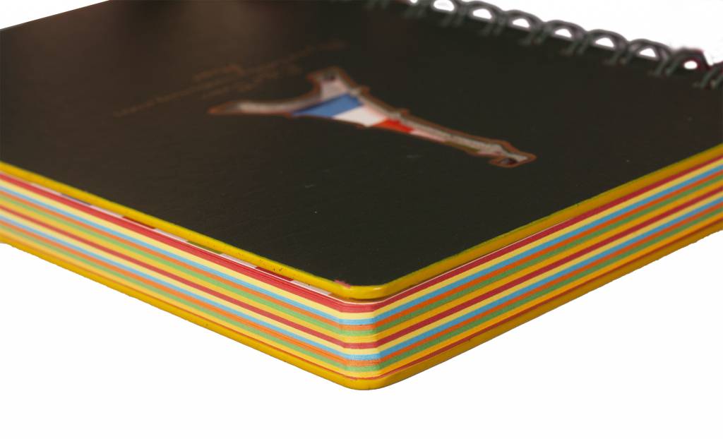 D5129-2 Dreamnotes-spiraal notitieboek Eiffeltoren Gekleurd Papier Groen