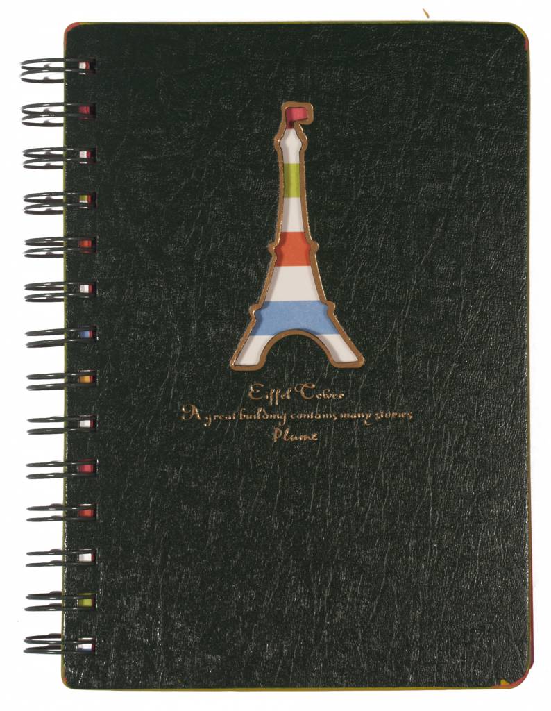 D5129-2 Dreamnotes Spiral Notizbuch Eiffelturm farbiges Papier grün