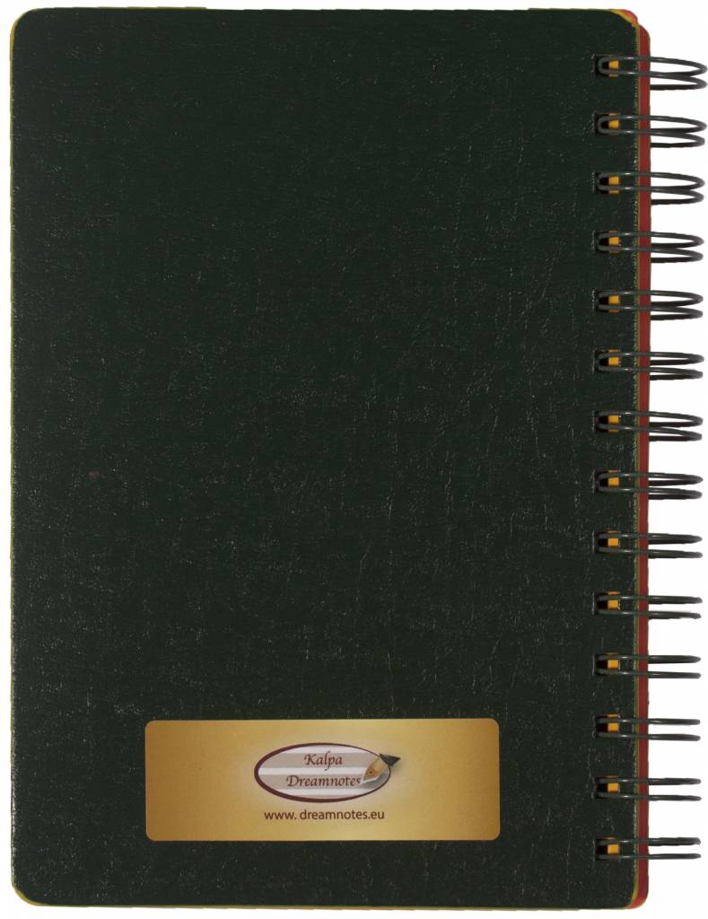 D5129-2 Dreamnotes Spiral notitieboek Eiffeltoren gekleurd papier groen