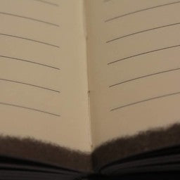 D6053-08 schorpioen notitieboek Sterrenbeeld van 24 oktober tot 22 november